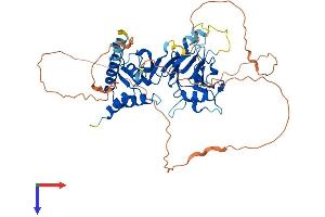 AlphaFold protein structure predicition of Mouse Recombinant Smad6 Protein, UniprotID O35182