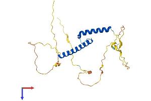 AlphaFold protein structure predicition of Human Recombinant BHLHA9 Protein, UniprotID Q7RTU4