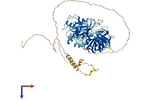 AlphaFold protein structure predicition of Mouse Recombinant Gspt1 Protein, UniprotID Q8R050