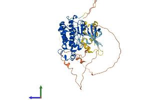 AlphaFold protein structure predicition of Mouse Recombinant Cdk17 Protein, UniprotID Q8K0D0