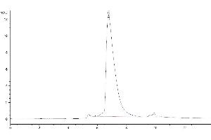The purity of Human Siglec-15 is greater than 95 % as determined by SEC-HPLC.