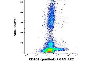 CD161 anticorps
