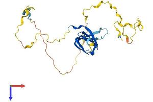 AlphaFold protein structure predicition of Human Recombinant SNRPN Protein, UniprotID P63162