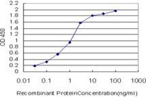 Detection limit for recombinant GST tagged HBZ is approximately 0.