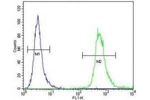 anti-WD Repeat Domain 3 (WDR3) (AA 208-236) antibody