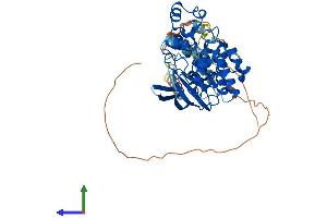AlphaFold protein structure predicition of Mouse Recombinant Mapk10 Protein, UniprotID Q61831