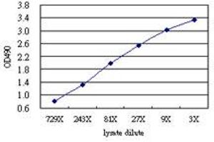 UMOD (Human) Matched Antibody Pair