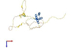 AlphaFold protein structure predicition of Human Recombinant GSX1 Protein, UniprotID Q9H4S2