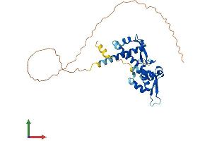 AlphaFold protein structure predicition of Human Recombinant MAGEA6 Protein, UniprotID P43360
