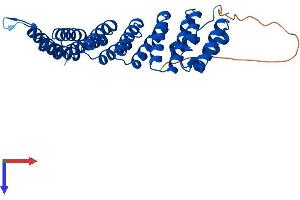 AlphaFold protein structure predicition of Human Recombinant NAPG Protein, UniprotID Q99747