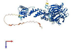 AlphaFold protein structure predicition of Human Recombinant KEAP1 Protein, UniprotID Q14145
