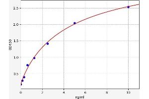 Typical standard curve (Adenosine A3 Receptor Kit ELISA)