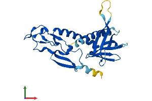 AlphaFold protein structure predicition of Human Recombinant ZFYVE21 Protein, UniprotID Q9BQ24