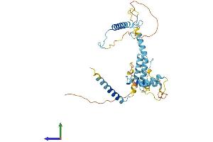 AlphaFold protein structure predicition of Mouse Recombinant Mbip Protein, UniprotID Q99LQ1