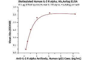 Immobilized Biotinylated Human IL-3 R alpha, His,Avitag (ABIN6973119) at 1 μg/mL (100 μL/well) on streptavidin precoated (0.