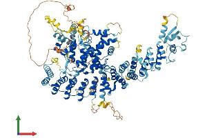 AlphaFold protein structure predicition of Mouse Recombinant Abtb2 Protein, UniprotID Q7TQI7