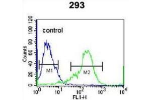 Flow cytometric analysis of 293 cells (right histogram) compared to a negative control cell (left histogram) using NKX1-2  Antibody (N-term), followed by FITC-conjugated secondary antibodies.