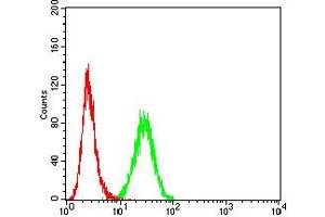 Flow cytometric analysis of K562 cells using CD207 mouse mAb (green) and negative control (red).