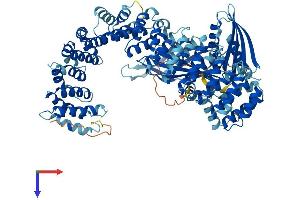AlphaFold protein structure predicition of Mouse Recombinant Copg1 Protein, UniprotID Q9QZE5