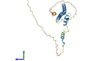 AlphaFold protein structure predicition of Human Recombinant SFR1 Protein, UniprotID Q86XK3