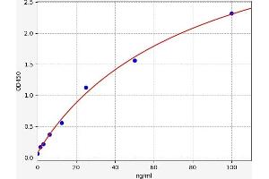 Typical standard curve (Fetal Fibronectin Kit ELISA)