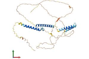 AlphaFold protein structure predicition of Mouse Recombinant Bhlhe41 Protein, UniprotID Q99PV5
