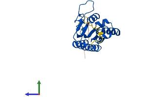AlphaFold protein structure predicition of Mouse Recombinant Adat2 Protein, UniprotID Q6P6J0