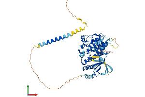 AlphaFold protein structure predicition of Mouse Recombinant Styk1 Protein, UniprotID Q6J9G1