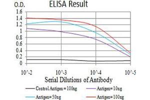 Black line: Control Antigen (100 ng);Purple line: Antigen (10ng); Blue line: Antigen (50 ng); Red line:Antigen (100 ng)