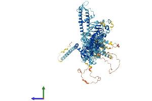 AlphaFold protein structure predicition of Mouse Recombinant Trpm4 Protein, UniprotID Q7TN37
