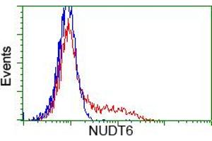 HEK293T cells transfected with either RC203470 overexpress plasmid (Red) or empty vector control plasmid (Blue) were immunostained by anti-NUDT6 antibody (ABIN2454160), and then analyzed by flow cytometry. (NUDT6 anticorps)