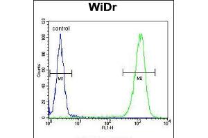 Flow cytometric analysis of WiDr cells (right histogram) compared to a negative control cell (left histogram). (TSPAN33 anticorps  (C-Term))
