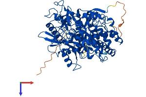 AlphaFold protein structure predicition of Human Recombinant GCLC Protein, UniprotID P48506