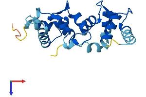 AlphaFold protein structure predicition of Mouse Recombinant Cib4 Protein, UniprotID Q9D9N5