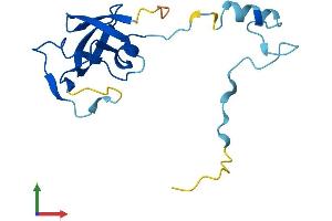 AlphaFold protein structure predicition of Human Recombinant HERVK_113 Protein, UniprotID P63121