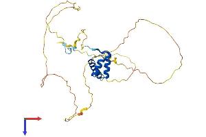 AlphaFold protein structure predicition of Human Recombinant HOXB1 Protein, UniprotID P14653