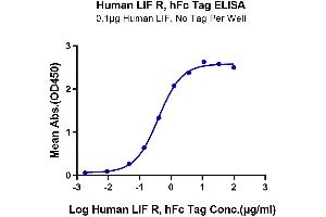 Immobilized Human LIF, No Tag at 1 μg/mL (100 μL/Well) on the plate.