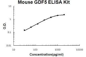 Mouse GDF5 PicoKine ELISA Kit standard curve (GDF5 Kit ELISA)