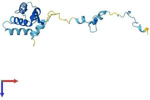 AlphaFold protein structure predicition of Mouse Recombinant Tppp2 Protein, UniprotID Q0P5Y3