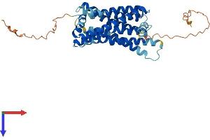 G Protein-Coupled Receptor 20 (GPR20) (AA 1-358) protein (His tag)