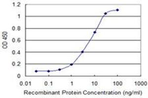 Detection limit for recombinant GST tagged TBX21 is 0. (T-Bet anticorps  (AA 387-486))