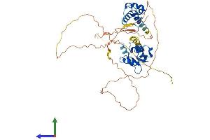 AlphaFold protein structure predicition of Human Recombinant FLI1 Protein, UniprotID Q01543