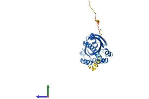 AlphaFold protein structure predicition of Human Recombinant RIT1 Protein, UniprotID Q92963
