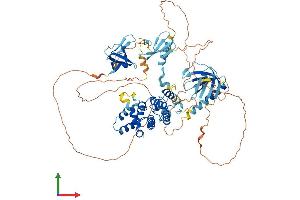 AlphaFold protein structure predicition of Human Recombinant ARHGAP9 Protein, UniprotID Q9BRR9