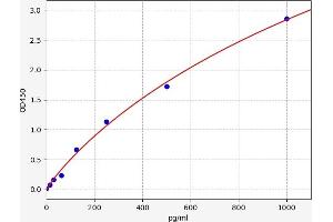 Transforming Growth Factor, beta 3 (TGFB3) ELISA Kit