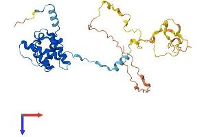 AlphaFold protein structure predicition of Human Recombinant CNN3 Protein, UniprotID Q15417