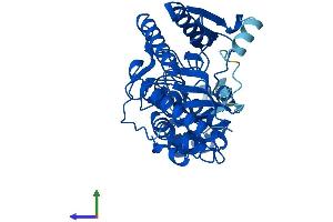 AlphaFold protein structure predicition of Human Recombinant CKM Protein, UniprotID P06732