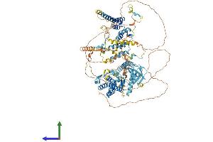 AlphaFold protein structure predicition of Human Recombinant BUB1B Protein, UniprotID O60566