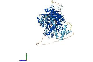AlphaFold protein structure predicition of Mouse Recombinant Acsbg1 Protein, UniprotID Q99PU5
