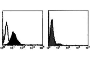 Flow Cytometry (FACS) image for anti-TNF Receptor Superfamily, Member 6 (FAS) antibody (ABIN1106612) (FAS anticorps)